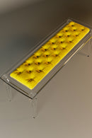 PlexiBench مقعد